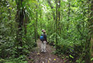 Hiking in Costa Rica