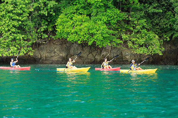  Kayaking trips through mangroves